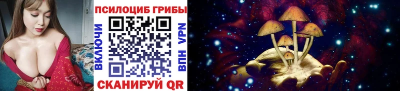Псилоцибиновые грибы Psilocybe  МЕГА онион  Пугачёв  наркота 
